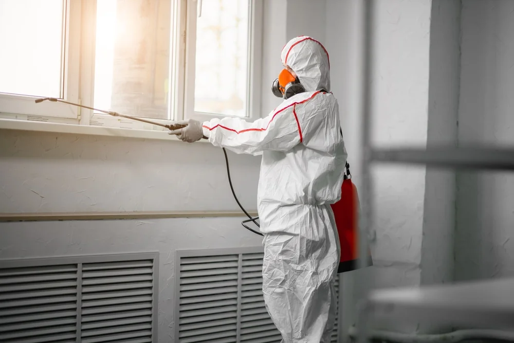 Professional mold remediation services in Hilo, HI